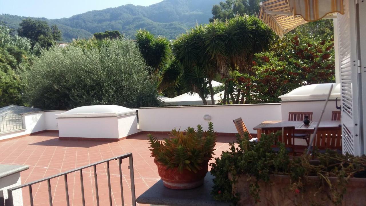 La Terrazza Dell^ippocampo #seaview Appartement Ischia